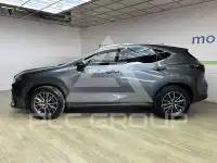 2022 Lexus NX250