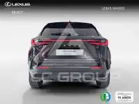 2022 Lexus NX250