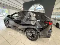2022 Lexus NX250
