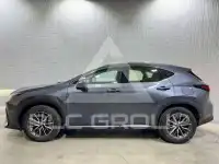 2022 Lexus NX250