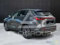 2022 Lexus NX250