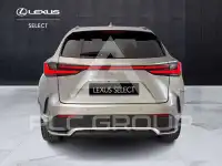 2022 Lexus NX250