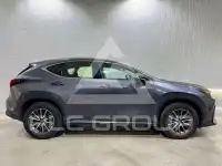 2022 Lexus NX250