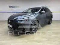 2022 Lexus NX250