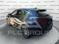 2022 Lexus NX250