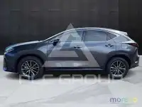 2022 Lexus NX250
