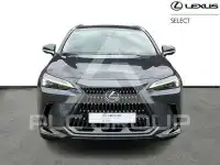 2022 Lexus NX250
