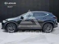 2022 Lexus NX250