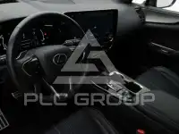 2022 Lexus NX450