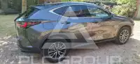2022 Lexus NX450