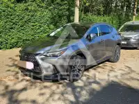 2022 Lexus NX450