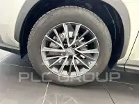 2022 Lexus NX450