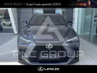 2022 Lexus NX450