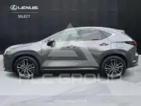 2022 Lexus NX450