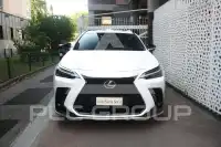 2022 Lexus NX450