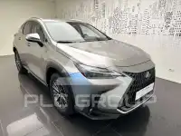 2022 Lexus NX450