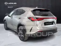 2022 Lexus NX450