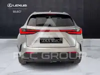 2022 Lexus NX450