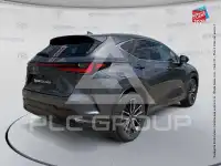 2022 Lexus NX450