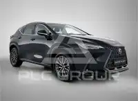 2022 Lexus NX450