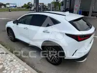 2022 Lexus NX450