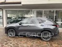 2022 Lexus NX450