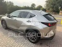 2022 Lexus NX450