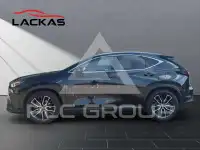 2022 Lexus NX450