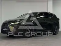 2022 Lexus NX450