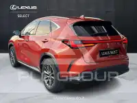 2022 Lexus NX450