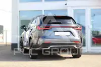 2022 Lexus NX450