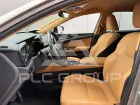 2022 Lexus NX450