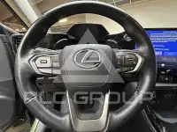 2022 Lexus NX450