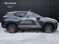 2022 Lexus NX450