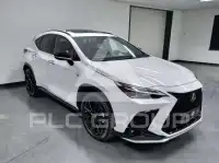 2022 Lexus NX450