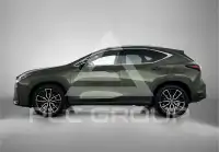 2022 Lexus NX450