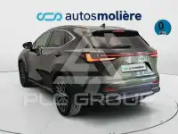 2022 Lexus NX450