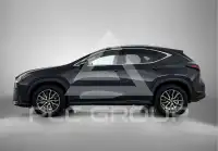 2022 Lexus NX450