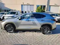 2022 Lexus NX450