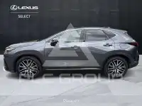 2022 Lexus NX450