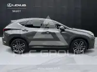 2022 Lexus NX450
