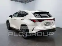 2022 Lexus NX450