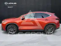 2022 Lexus NX450