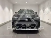 2022 Lexus NX450