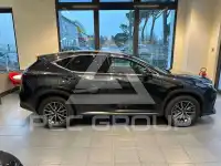 2022 Lexus NX450