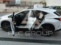 2022 Lexus NX450