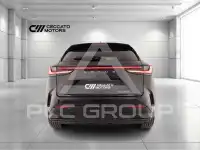 2022 Lexus NX200T
