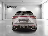 2022 Lexus NX200T