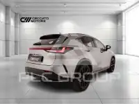 2022 Lexus NX200T