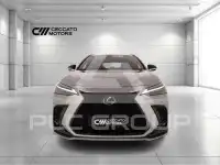 2022 Lexus NX200T
